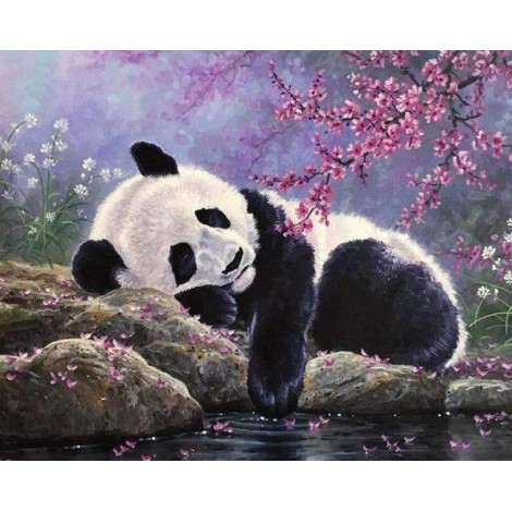 Panda entspannt am Wasser