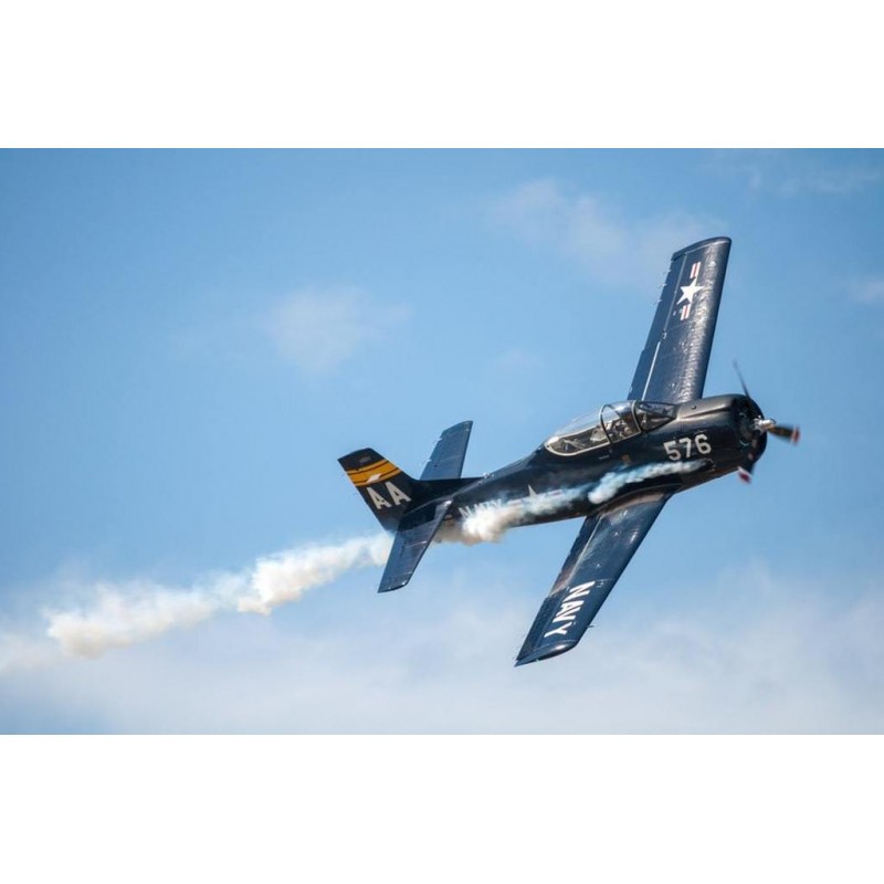 Marine Treibstoffflu...