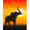 Elefant bei Afrikanischem Sonnenuntergang