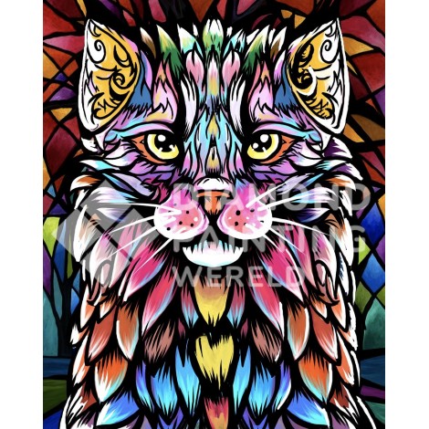 Katzenkontrast | Exklusives Design