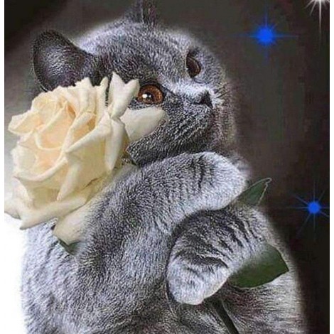 Schwarze Katze mit Blume