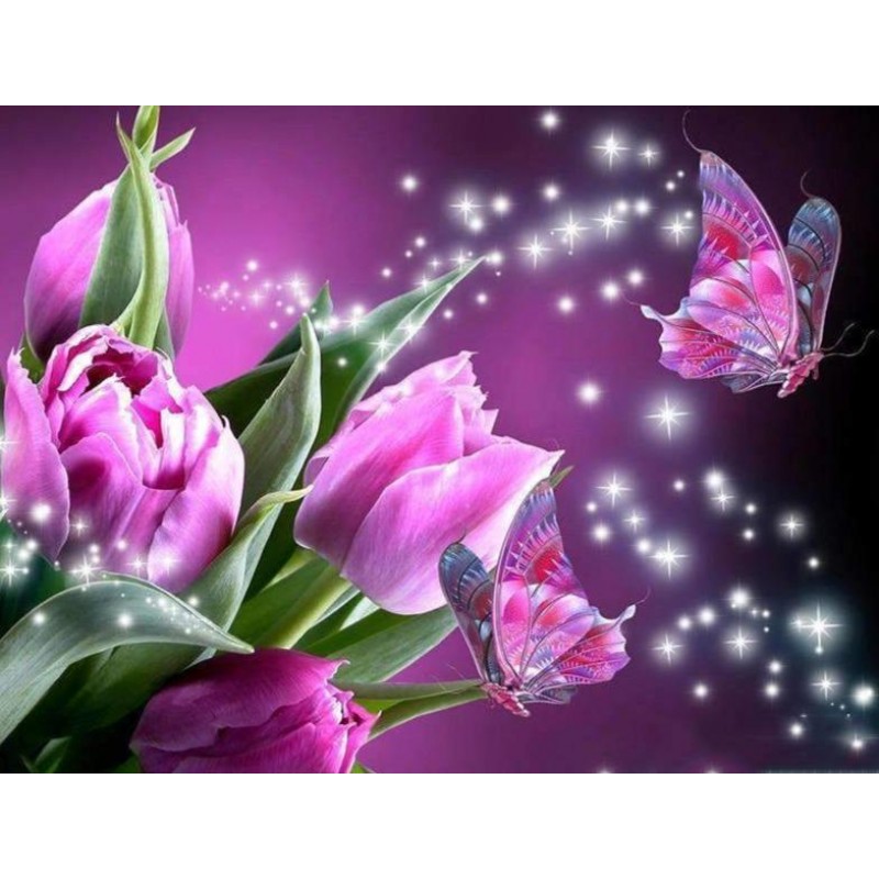 Violette Tulpen Schm...