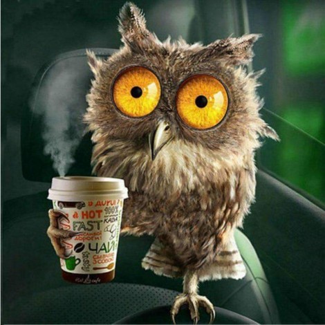 Eule mit Kaffee