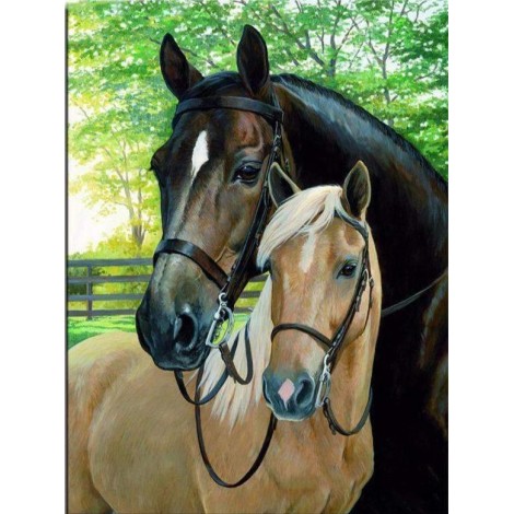 Schwarzes und braunes Pferd